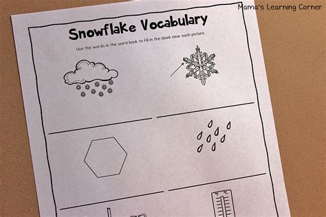 Life Cycle Of A Snowflake Worksheet