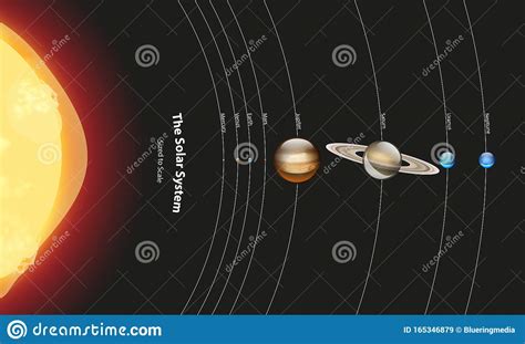 Of the objects that orbit the sun directly, the largest are the eight planets. Diagram Showing The Solar System Stock Vector - Illustration of diagram, earth: 165346879