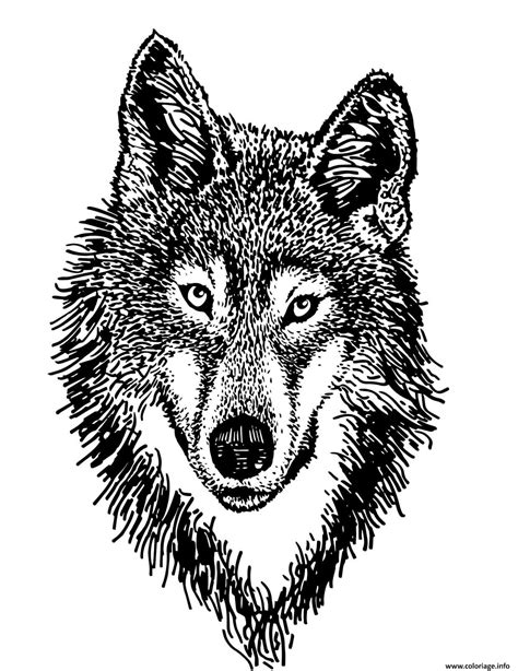Coloriage Loup Realiste Dans La Foret Dessin Loup à Imprimer