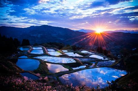 5 Most Beautiful Rice Field Terraces In Japan Triplisher Stories