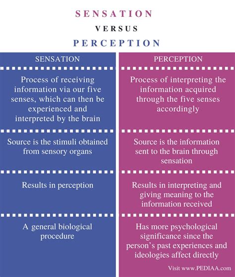 Difference Between Sensation And Perception Pediaacom