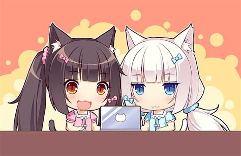 3840x2160px Free Download Hd Wallpaper Anime Nekopara Chocola