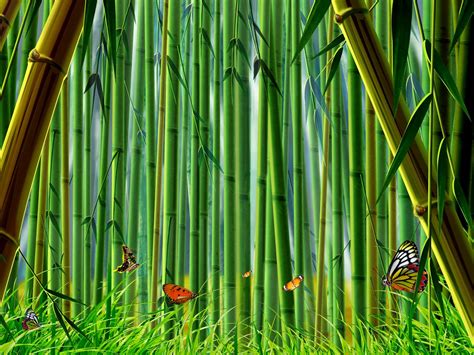 41 Bamboo Forest Wallpaper For Home Wallpapersafari