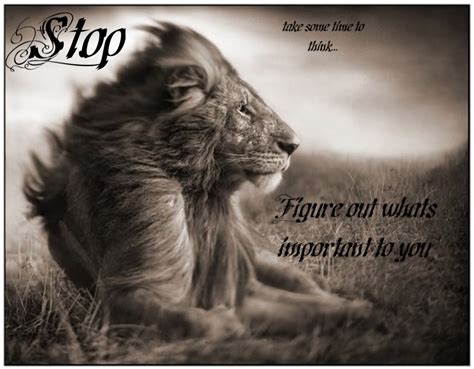 Lion And Lioness Strong Quotes Quotesgram