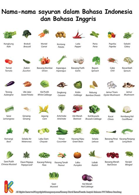 100 Macam Nama Sayuran Dan Gambarnya Thebluereview
