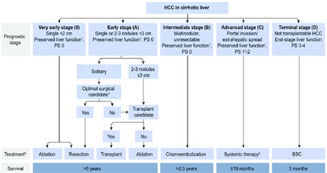 Bclc Staging System For Hcc Prognostic Stage Treatment Methods And