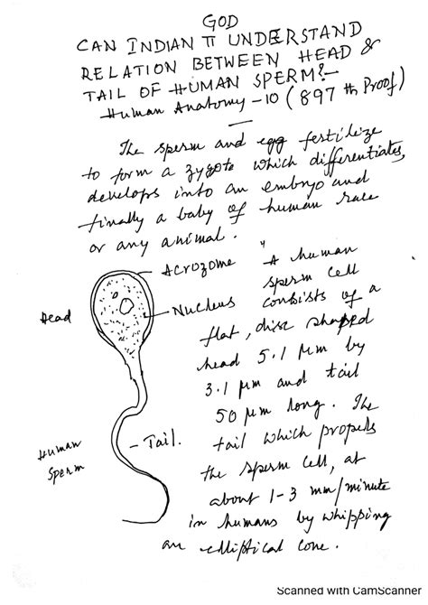 Pdf Can Indian Pi Understand Relation Between Head And Tail Of Human Sperm Human Anatomy No