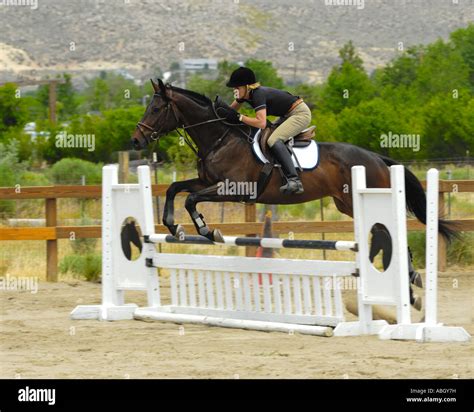 Horse Jumping Hi Res Stock Photography And Images Alamy