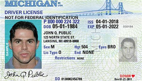 Whitmer Extends Drivers License Vehicle Registration Expiration For