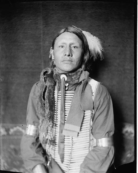 these are beautiful portraits of native americans in wild west show including sitting bull