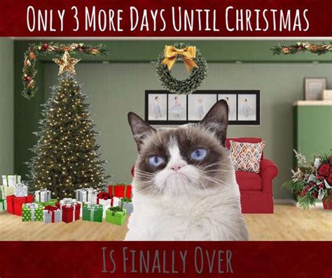 Grumpy Cat Christmas 🎄🎅🏼 Grumpy Cat Christmas Grumpy Cat Humor Grumpy Cat