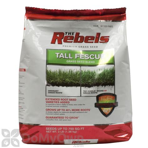 The Rebels Tall Fescue Mix 3 Lbs