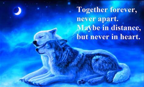 Very Romantic But The Way I View A Soulmate Wolf Love Wolf