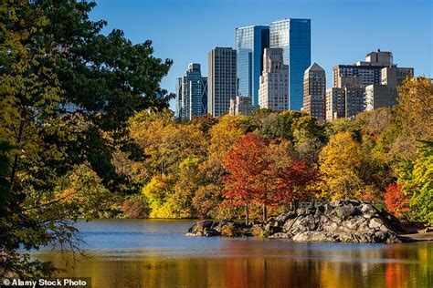 The Urban Forests Of New York Revealed New Study Finds The City Has
