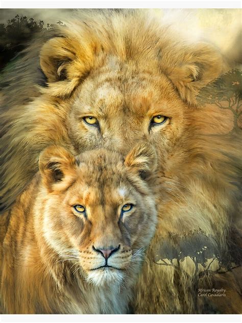 Lion And Lioness African Royalty Poster By Carolcavalaris Redbubble
