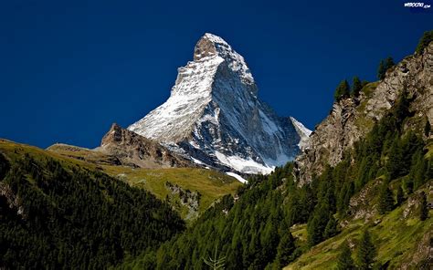 Góry Alpy Szczyt Matternhorn Lasy Łąki