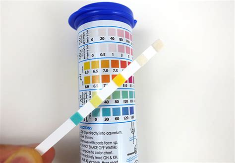 The Beginner’s Guide to Aquarium Test Strips – And, Why They Suck