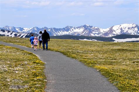 Tundra Communities Trail In Rocky Mountain National Park