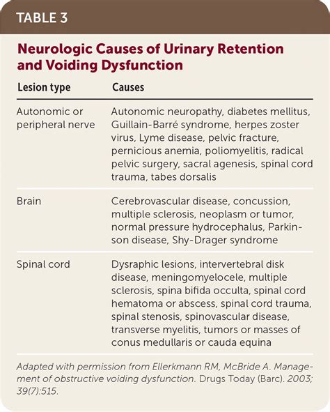 Urinary Retention In Adults Evaluation And Initial Management Aafp