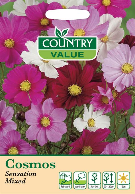 Cosmos Sensation Mixed Seeds By Country Value Uk