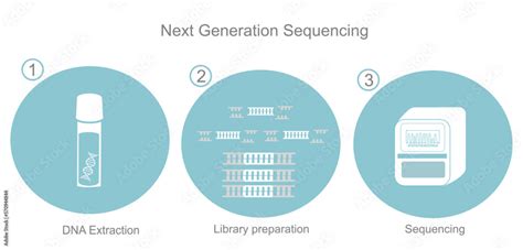 The Important Step Of Next Generation Sequencing Dna Extraction Library Preparation And