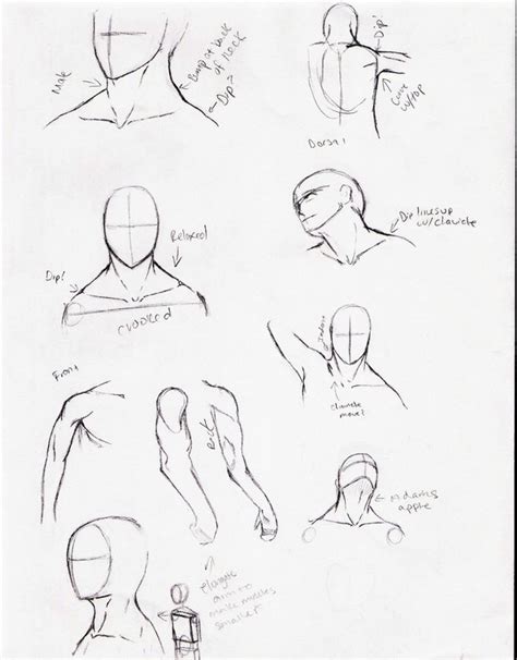 Head And Shoulders Drawing At Getdrawings Free Download