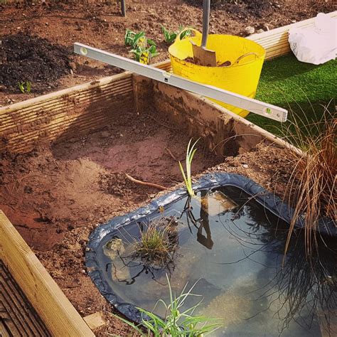 Wildlife Pond Build — Bbc Gardeners World Magazine