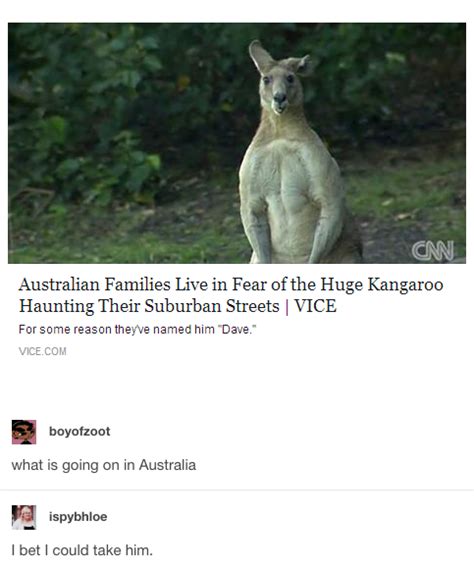 51 Times Australians Were The Funniest On Tumblr Australia Funny
