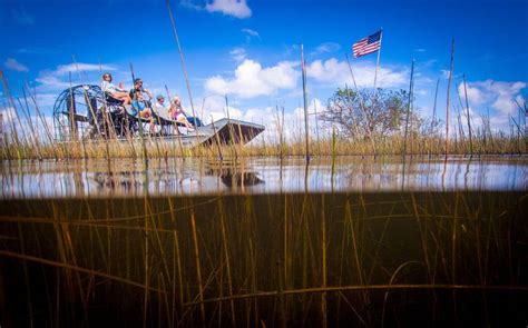 15 Best Everglades Airboat Tours World News