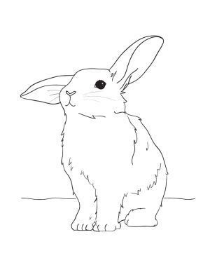 Hase vorlage osterhase vorlage pdf zum ausdrucken 12. Hase Ostern Malvorlagen | Ostern zeichnung, Kaninchen ...