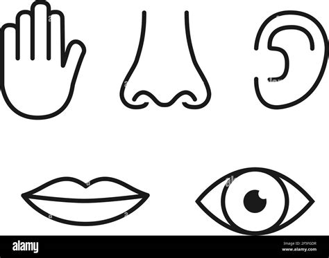 Outline Icon Set Of Five Human Senses Vision Eye Smell Nose Hearing Ear Touch Hand