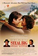 Steal Big Steal Little (1995) movie poster