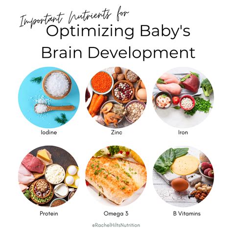 Optimizing Babys Brain Development Important Nutrients — Rachel Hilts
