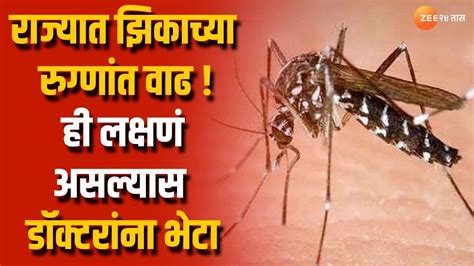 Maharashtra Rising Zika Virus Enters Pune Precaution From Zika Virus