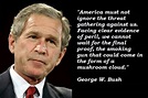 George W. Bush Quotes | Bush quotes, Threat quote, Storm quotes