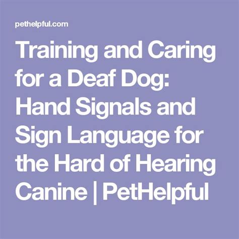 Training And Caring For A Deaf Dog Hand Signals And Sign Language For