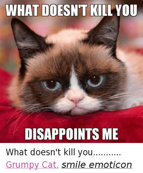 25 Best Grumpy Cat Smiles Memes Cat Smiling Memes