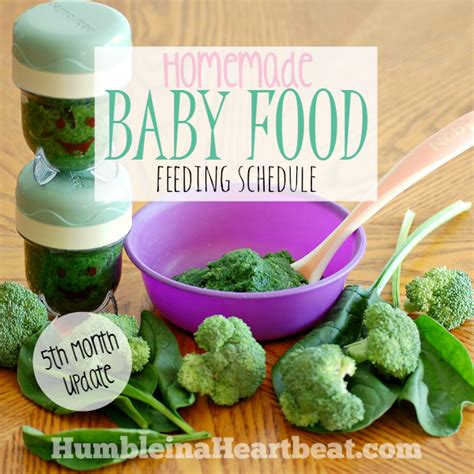 Babies will eat as much food and drink as much breast milk and/or formula as they need. Solids Feeding Schedule: Month 5 Update (With images ...