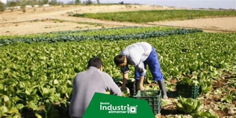 Sector Agropecuario Creció 88 En Junio De Este Año