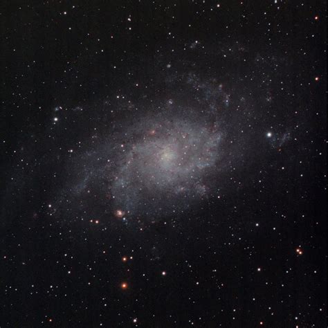 The Pinwheel Galaxy M33 In Triangulum Astronomy