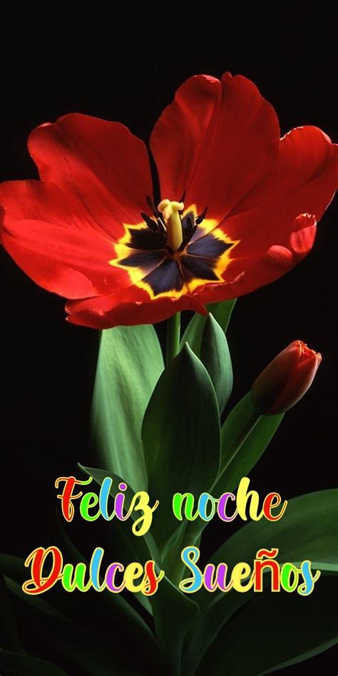 There Is A Red Flower With The Words Feliz Noche Dulces Sinfo