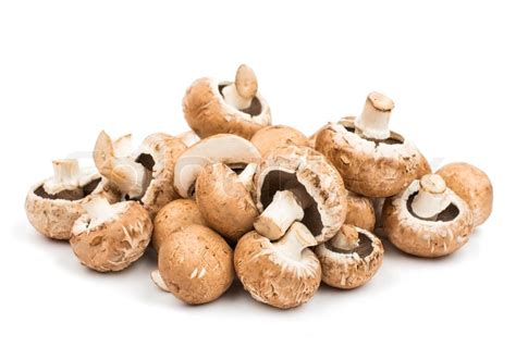 Mushroom On A White Background Stock Image Colourbox
