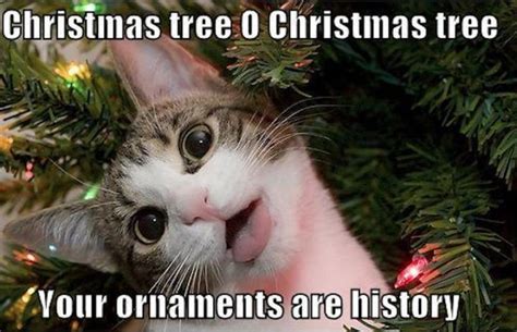 87 Funny Christmas Memes That Put The Merry Back Into Christmas