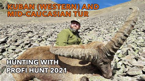 kuban western and mid caucasian tur hunting with profi hunt 2021 youtube