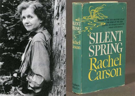 Environmentalism History Rachel Carsons Book Silent Spring 50 Years