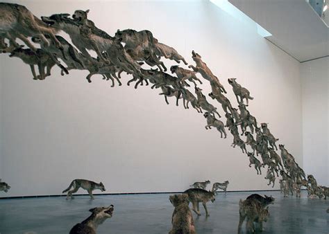Mesmerizing Art Cai Guo Qiangs Flying Pack Of Wolves Head On