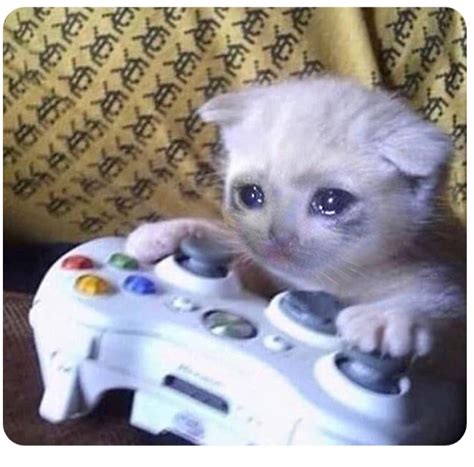 Sad Cat Xbox Blank Template Imgflip