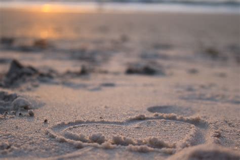 Free Images Sea Coast Sand Rock Ocean Horizon Snow Winter