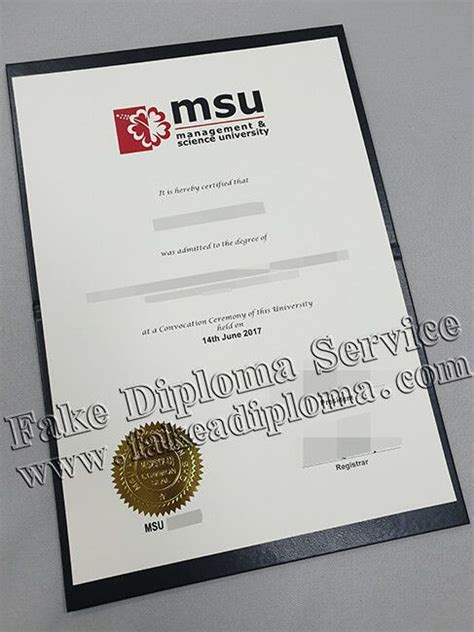 3 computer science, it courses. MSU Degree, Management and Science University Diploma ...