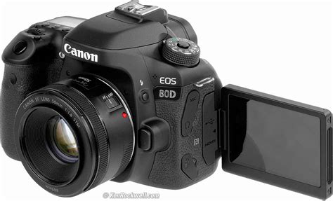 Canon 80d Review